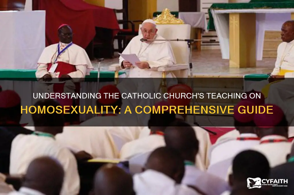 what is the catholic stance on homosexuality
