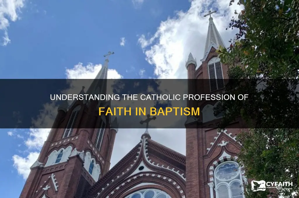 what is the catholic statement of faith for baptism