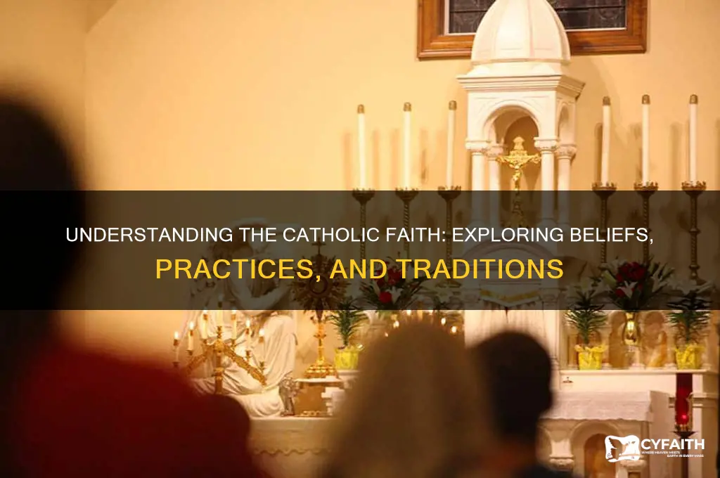 what is the catholic sthing