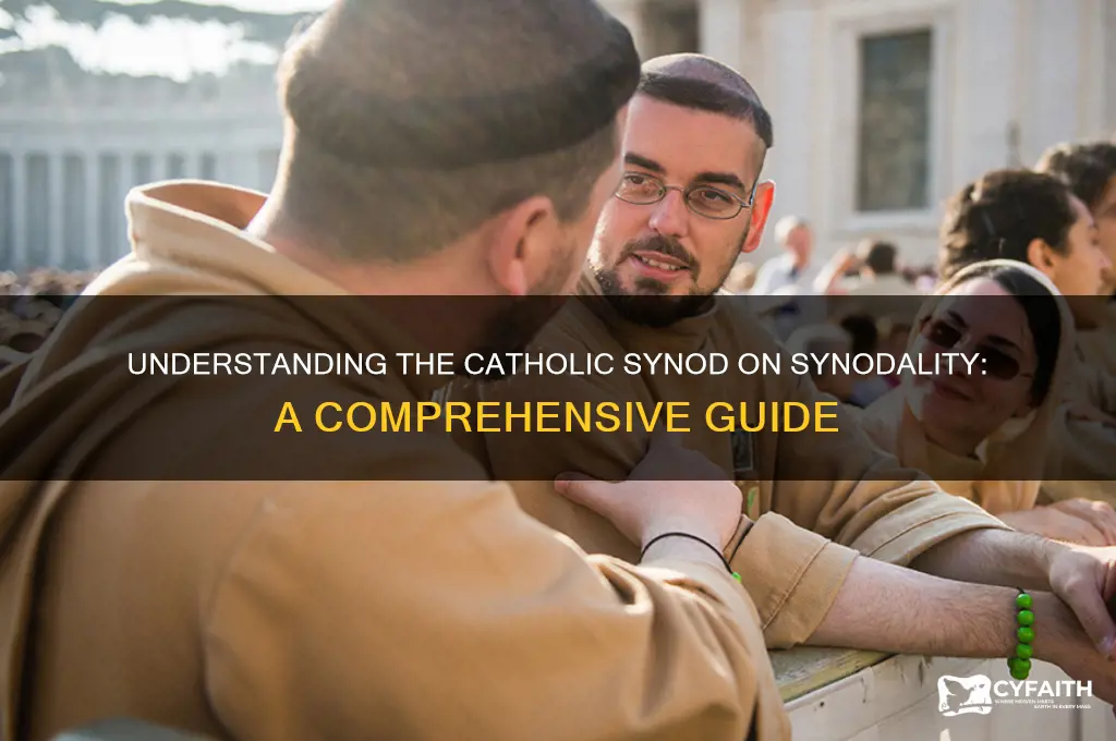 what is the catholic synod on synodality