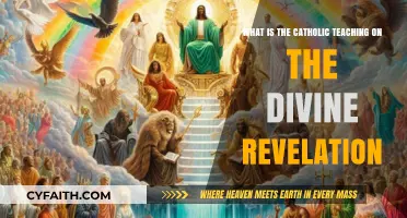 Understanding Divine Revelation: Core Catholic Teachings and Insights