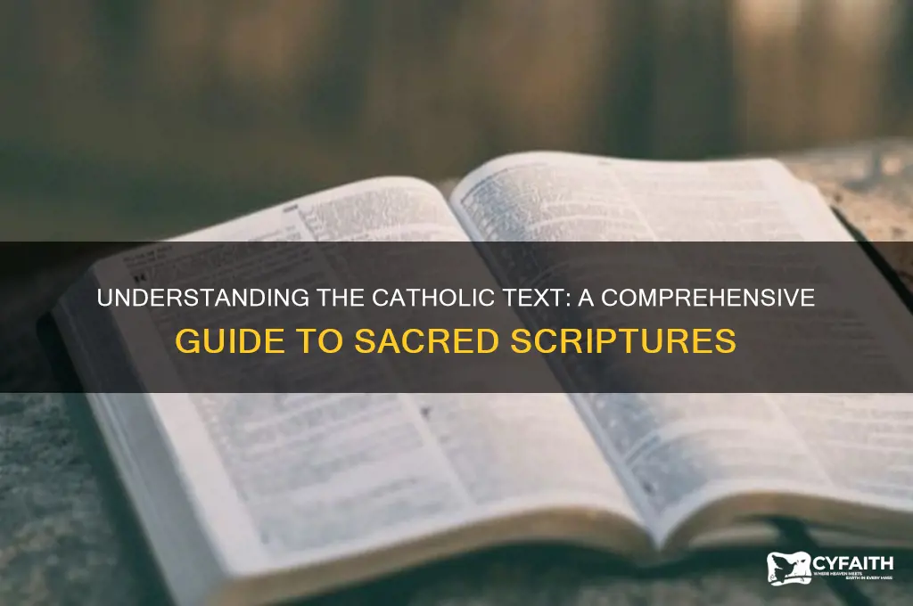 what is the catholic text