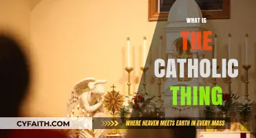 Understanding the Catholic Faith: Traditions, Beliefs, and Practices Explained