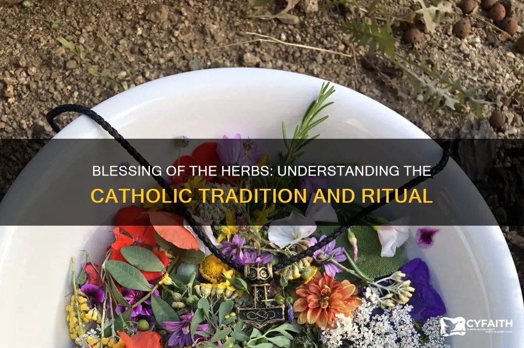what is the catholic tradition of blessing of the herbs