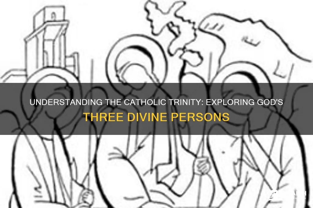 what is the catholic trinity