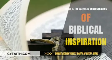 Catholic Biblical Inspiration: Understanding Divine Authorship and Sacred Scripture