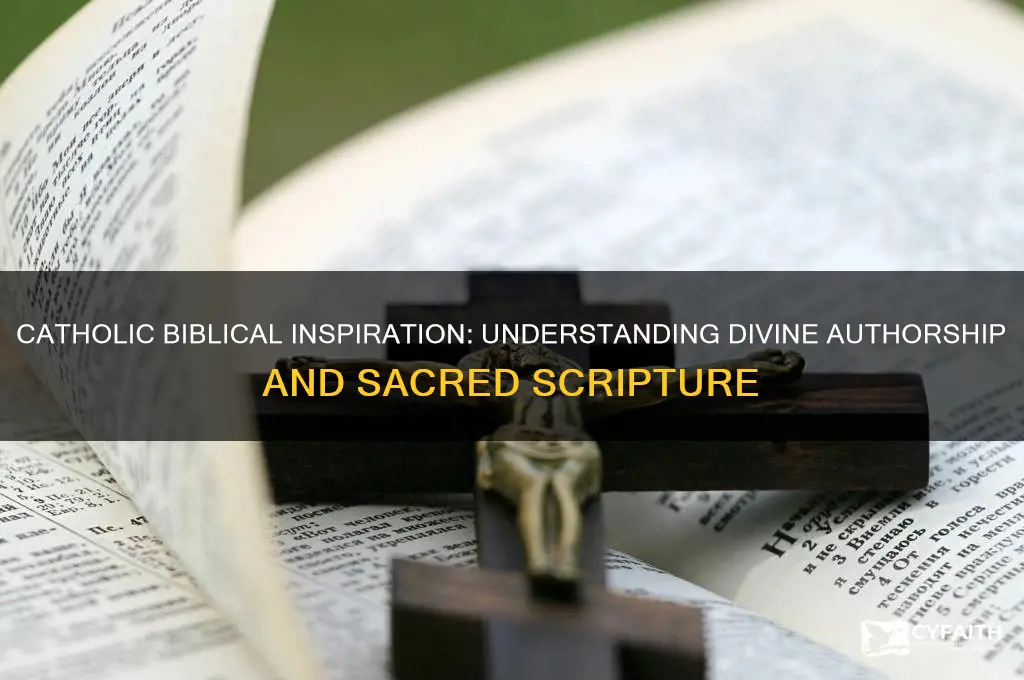what is the catholic understanding of biblical inspiration