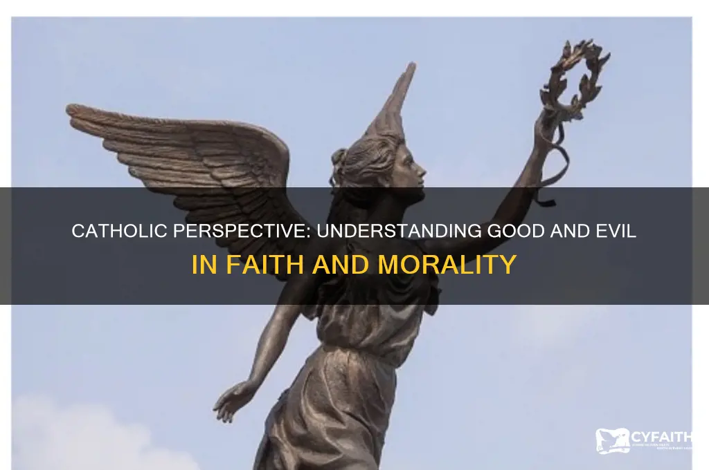 what is the catholic understanding of good and evil