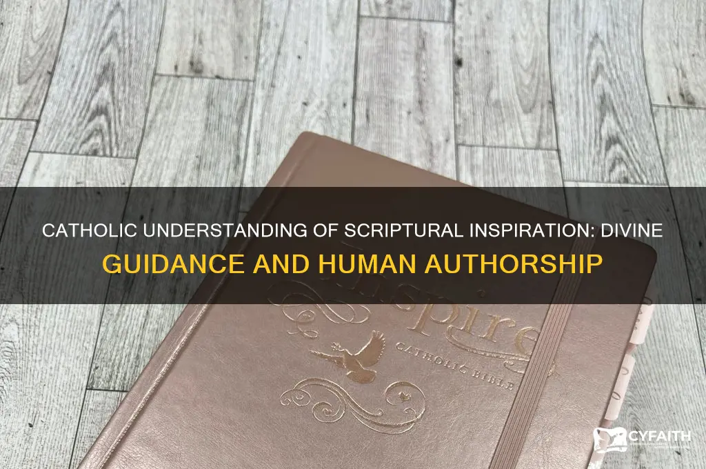 what is the catholic understanding of inspiration