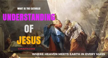 Understanding Jesus: The Catholic Perspective on His Life and Divinity