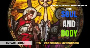 Catholic Anthropology: Understanding Spirit, Soul, and Body in Unity