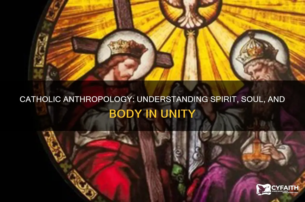what is the catholic understanding of spirit soul and body