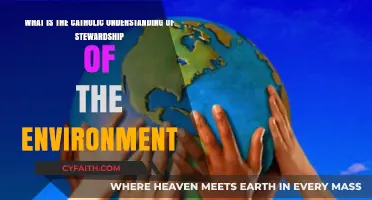 Catholic Environmental Stewardship: Faith, Creation Care, and Responsibility