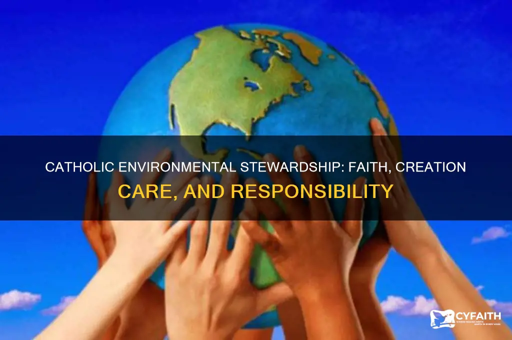 what is the catholic understanding of stewardship of the environment