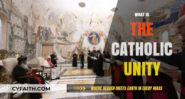 Understanding Catholic Unity: Faith, Tradition, and Global Communion Explained