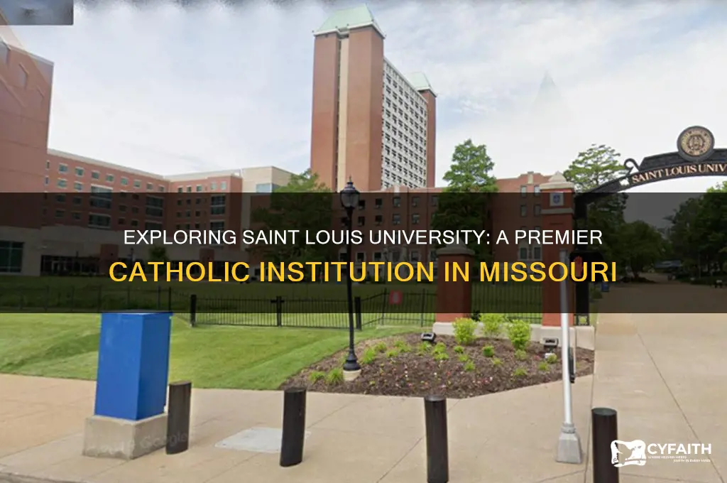 what is the catholic university in st louis