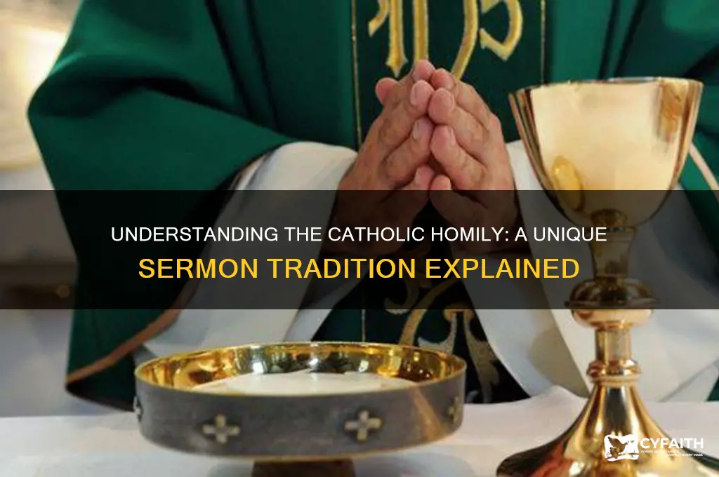 what is the catholic version of a sermon