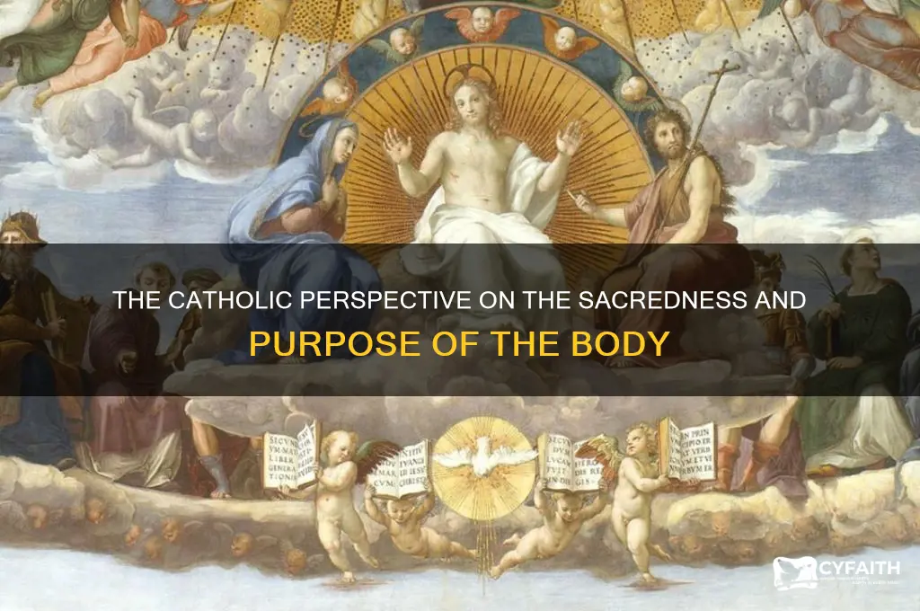 what is the catholic view of the body