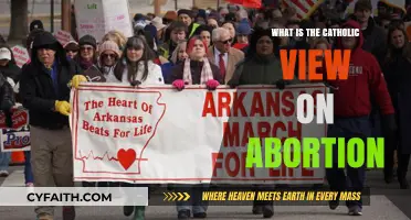 The Catholic Stance on Abortion: A Complex Issue