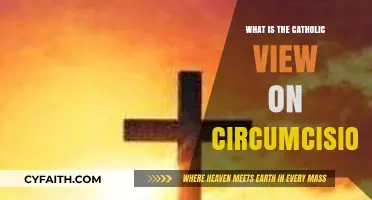 Catholic Perspective on Circumcision: Tradition, Theology, and Modern Practice