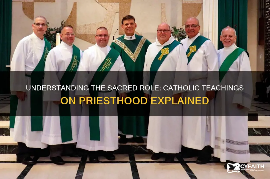 what is the catholic view on priesthood