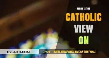 Understanding the Catholic Perspective: Exploring Core Beliefs and Teachings