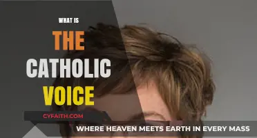 Understanding the Catholic Voice: Faith, Tradition, and Modern Expression