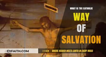 Understanding the Catholic Path to Eternal Salvation and Grace