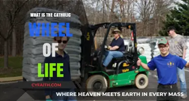 Understanding the Catholic Wheel of Life: A Spiritual Journey Guide