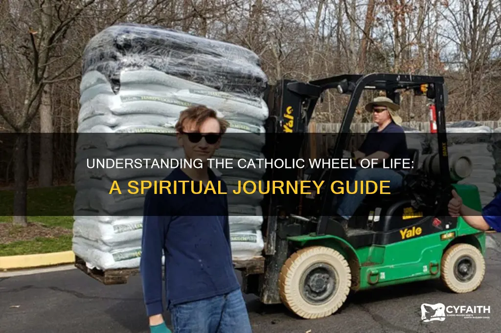 what is the catholic wheel of life