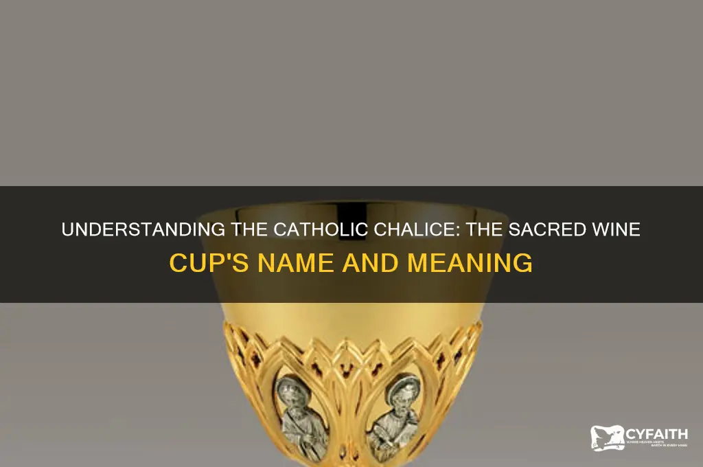 what is the catholic word for the wine cup
