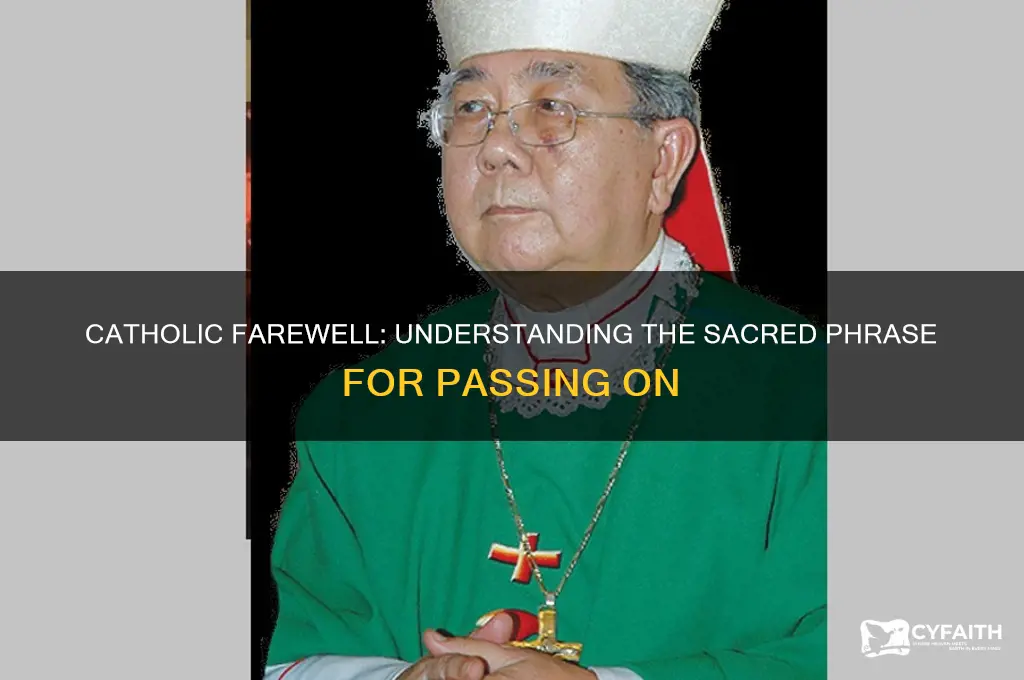 what is the catholic word for you pass on