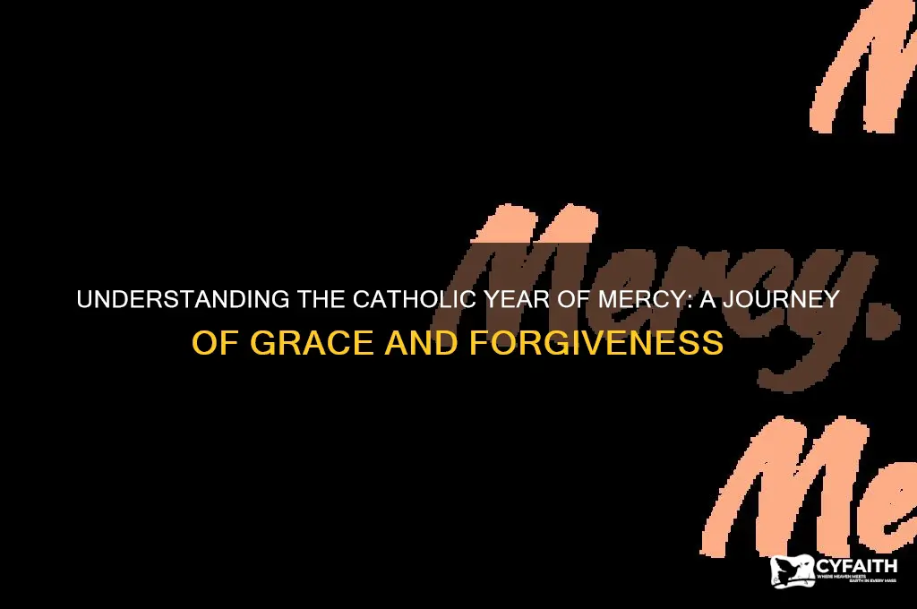 what is the catholic year of mercy