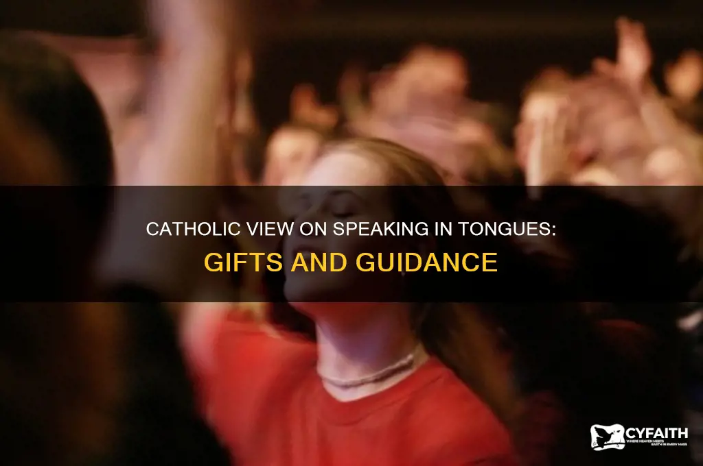 what is the catholic