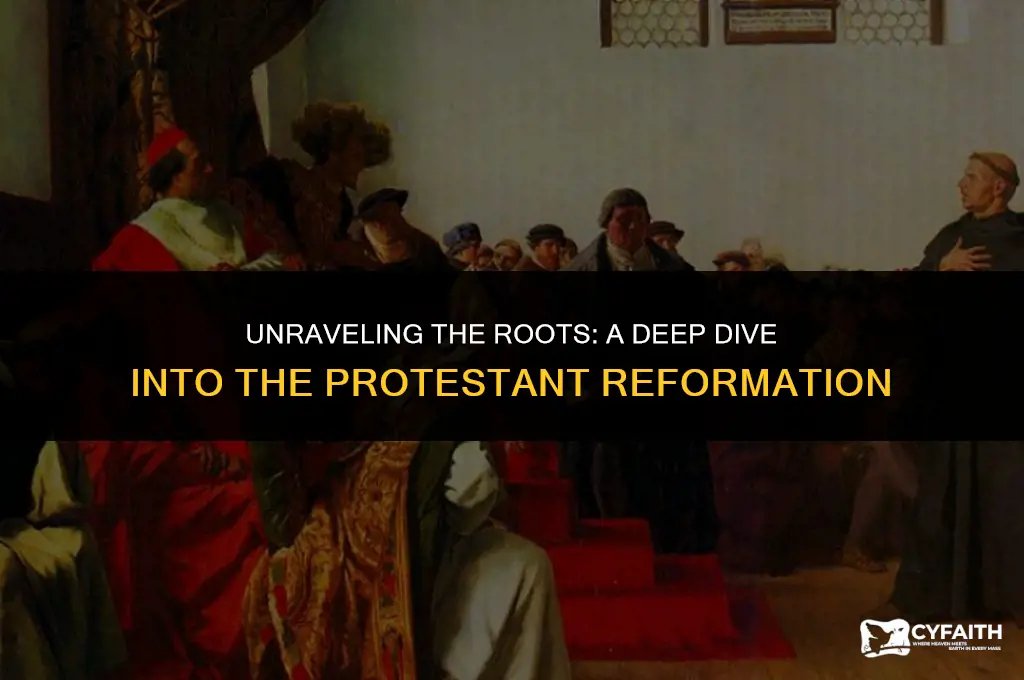 what is the cause of the protestant reformation