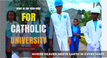 Catholic University CEEB Code: A Quick Guide for Applicants