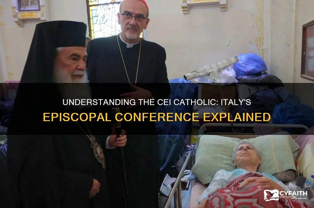 what is the cei catholic