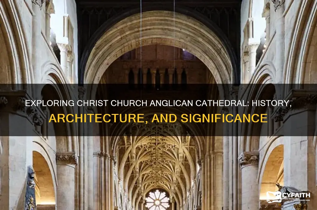what is the christ church anglican cathedral