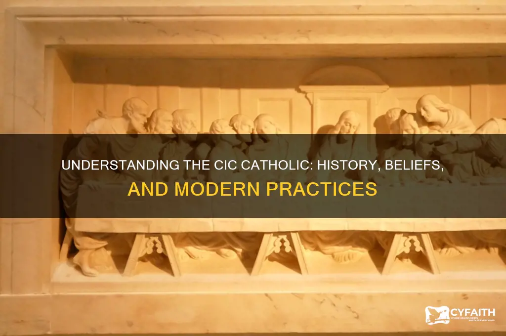 what is the cic catholic