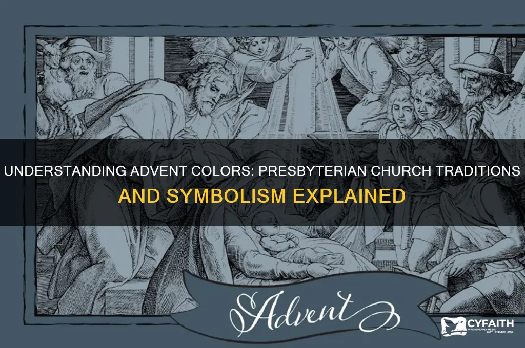what is the color for advent in the presbyterian church