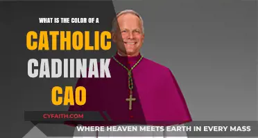 Exploring the Traditional Color of a Catholic Cardinal's Robe