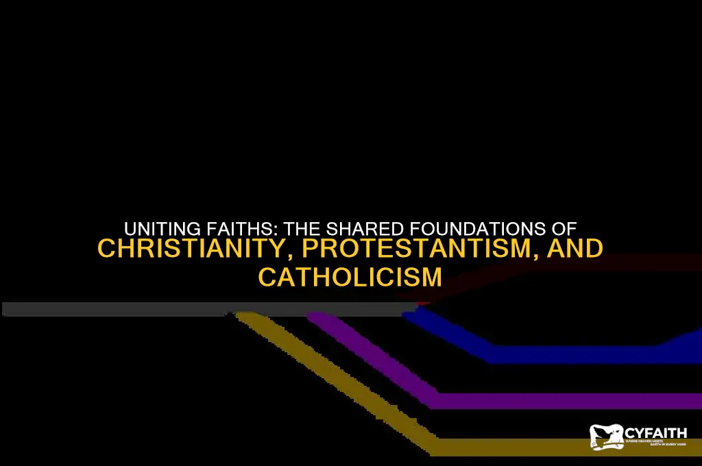 what is the common element with christianity protestant and catholicism
