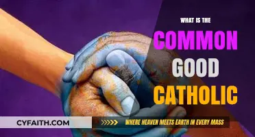 Understanding the Catholic Principle of the Common Good