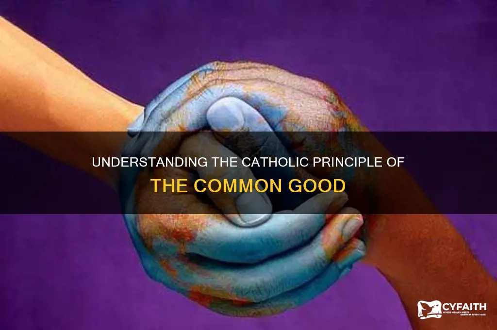 what is the common good catholic
