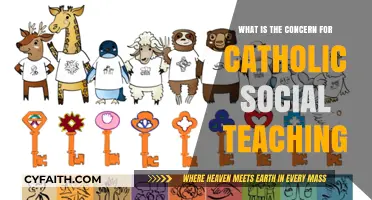 Catholic Social Teaching: Addressing Global Concerns for Justice and Dignity