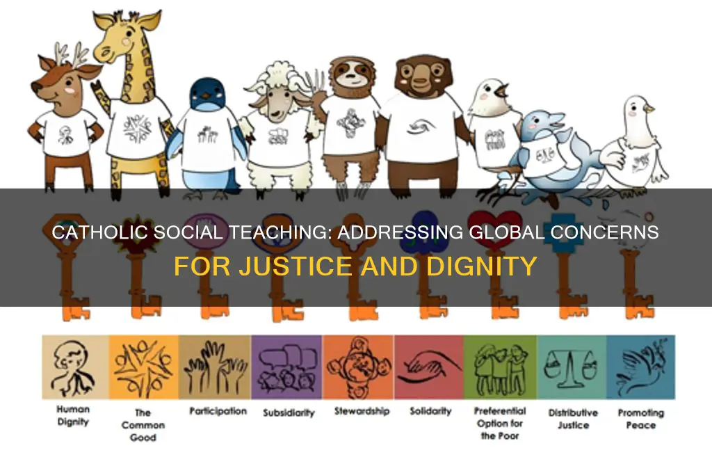 what is the concern for catholic social teaching