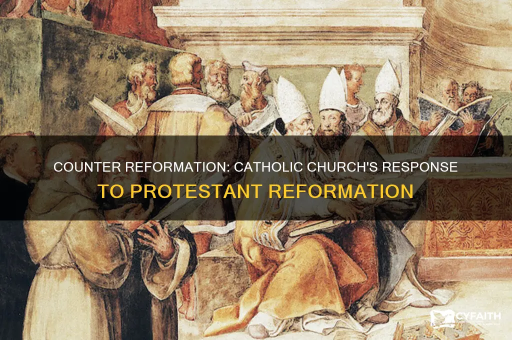 what is the counter catholic reformation