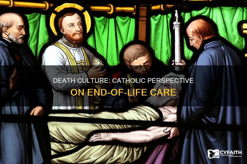 what is the culture of death catholic