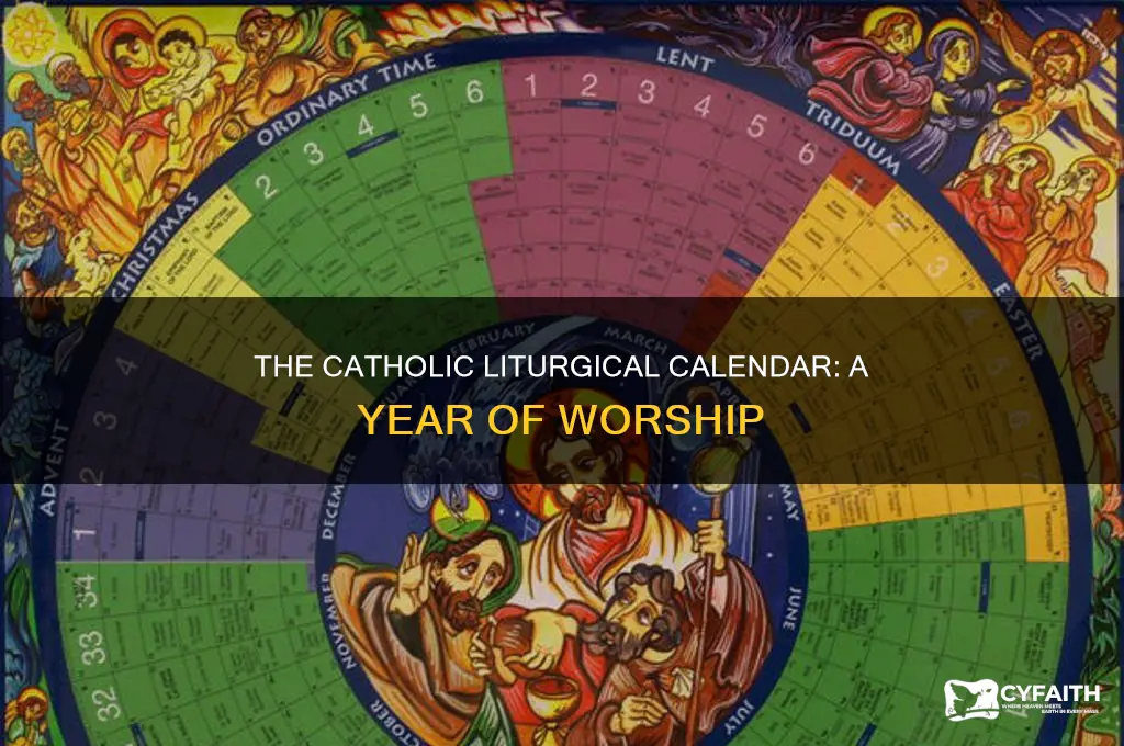 what is the current catholic liturgical year