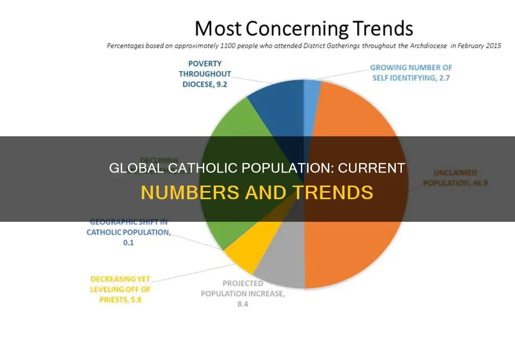 what is the current number of catholics